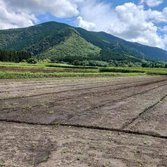 16000坪の広大な物件