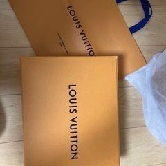 激レア！ルイヴィトン　新品未使用コレクションクラッチバッグ　ソフ...