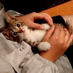 大切に育ててくださる方