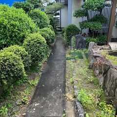 5.3万円　初期費用2万円のみ　ペット多頭飼可　DIY可　小松島...