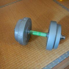 ダンベル 10㎏