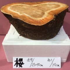 【🌸桜の薪割り台】　サイズは直径29～40㎝・高さは14㎝圧巻の...