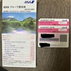 ★値下げしました★ANA株主優待チケット　2枚セット　郵送可能
