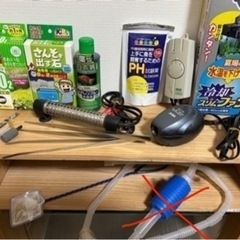 引っ越しの為、今月末で処分します⭐️熱帯魚⭐️飼育⭐️アクアリウム⭐️金魚の画像