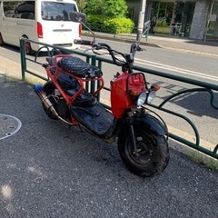 ズーマーカスタム❗️他在庫多数見学歓迎