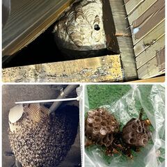 栃木県　ハチ駆除・草刈伐採・カギ屋・ロードサービス　便利屋の作業...