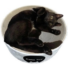 生活雑貨 調理器具 鍋、グリルの画像