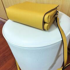 STEVE MADDEN　ショルダーバッグの画像