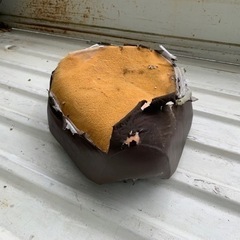 リトルカブ‼️ シート‼️ 張り替え用‼️の画像