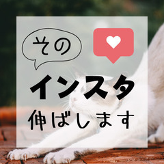 インスタ伸ばします