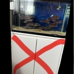 決まりました。