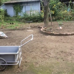 平島付近の田舎の小さな農園で軽作業🌱 週１から可の画像