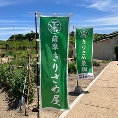 平島付近の田舎の小さな農園で軽作業🌱 週１から可