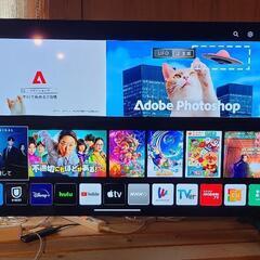 LG 48型4K有機ELテレビ OLED48A1PJA BLACK 