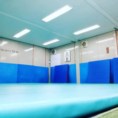 ブラジリアン柔術TrainingLab　＠Guerreiro（ゲ...
