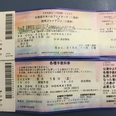 函館発　日本ハムVS巨人　エスコンフィールド　6/15土曜日　1枚
