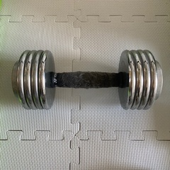 10kg金属ダンベル　無料