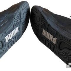 プーマ Puma Palace Guard Trainersスニーカーの画像