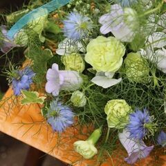 Love-in-a-mist バスケットアレンジメントの画像