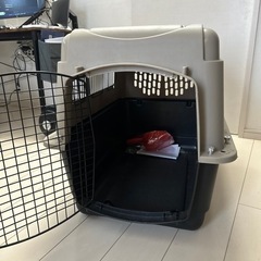 大型犬中型犬 クレートの画像