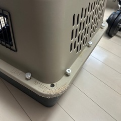 大型犬中型犬 クレートの画像
