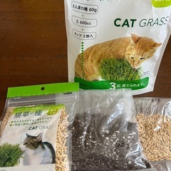 【新品未開封】猫草の種200g(おまけ付き) 猫犬