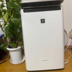 家電 季節、空調家電 空気清浄機