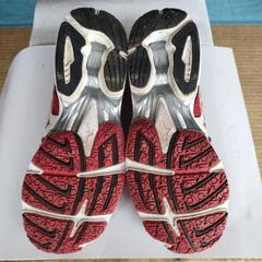 【お値下げ】ミズノ　スニーカー　25.0cmの画像