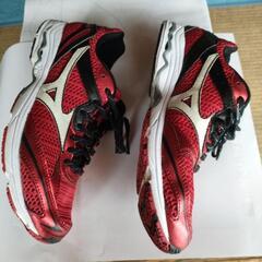 【お値下げ】ミズノ　スニーカー　25.0cmの画像