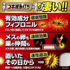 ゴキブリ ゴキブリ駆除 ゴキブリがいなくなる ゴキブリ対策 ゴキ滅多打ち業務用の画像