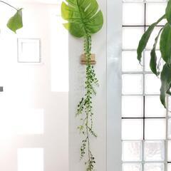 【評価してくださる方限定】インテリア ボタニカル造花セット
