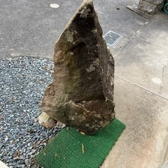 生活雑貨 家庭用品 ガーデニングの画像
