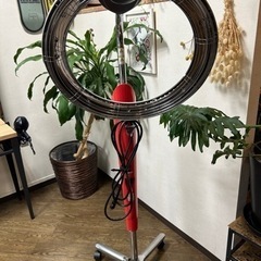 家具 インテリア雑貨/小物 置物、オブジェ