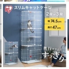お渡し者様決まりました
猫　ゲージの画像