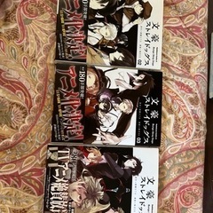漫画📕文豪ストレイドッグス2・3・10巻