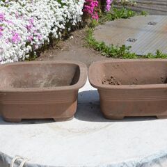 植木鉢　平鉢　２鉢