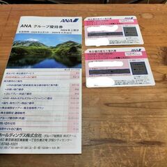 【最新】ANAグループ優待券　2枚　2024年6月1日～2025...