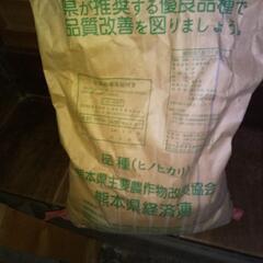 今年の農協の種籾です。
