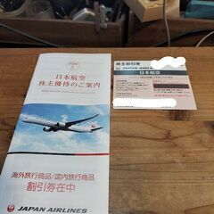 JALグループ優待券　1枚　2024年6月1日～2025年11月30日