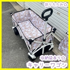 キャリーワゴン　折りたたみ式　収納袋付き　持ち手伸縮　キャンプ　アウトドア　BBQ 運動会　海水浴　マリンスポーツ　犬猫　ペットカート