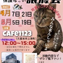 1歳過ぎ　去年からずっとのお家を待っています、とっても仲良しなあんこくん&みゅーちゃん【6月2日(日曜日)　🌟久留米市上津バイパス沿いカフェ1123さん🌟譲渡会🌟】 - 里親募集