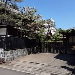 松尾流茶道教室　浄遊会　生徒募集中の画像