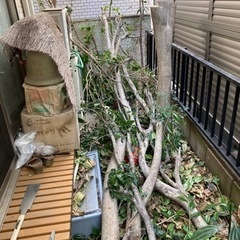 材木、枝、木材、燃料、差し上げますの画像