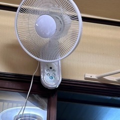 決定しました