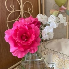 無農薬 白花 リクニス コロナリア 苗 リーフ ガーデニングの画像