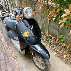 備品、自賠責付きHONDA TODAY AF61 4スト原付バイ...