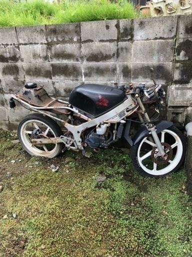 ホンダ ns1 レストアベース 部品取り