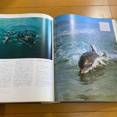 【無料】図鑑　朝日＝ラルース　世界動物百科の画像