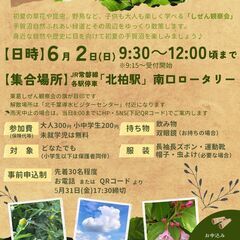 手賀沼でお散歩しぜん観察会2024