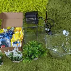 メダカ、金魚飼育セット